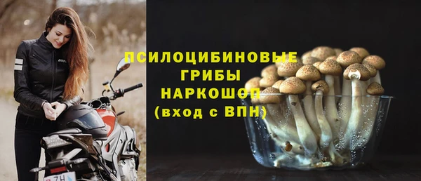 гидра Балахна