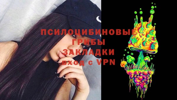 гидра Балахна