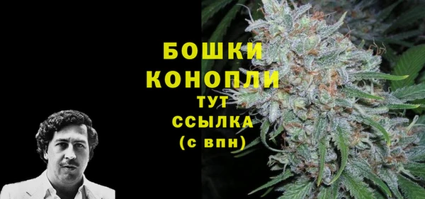гидра Балахна
