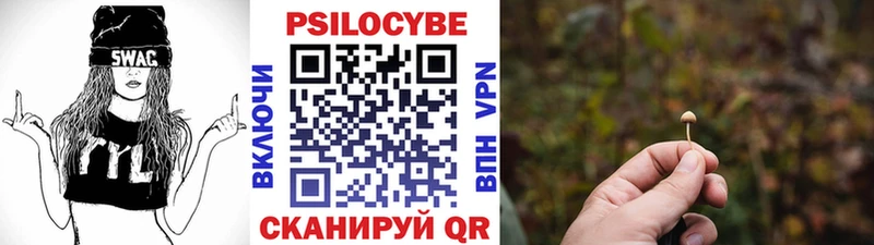 Псилоцибиновые грибы Psilocybine cubensis Струнино