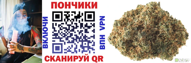 Канабис план  Купить закладки  Струнино 